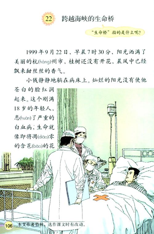 跨越海峡的生命桥中的生命桥指的是？跨越海峡的生命桥主要讲了一件什么事