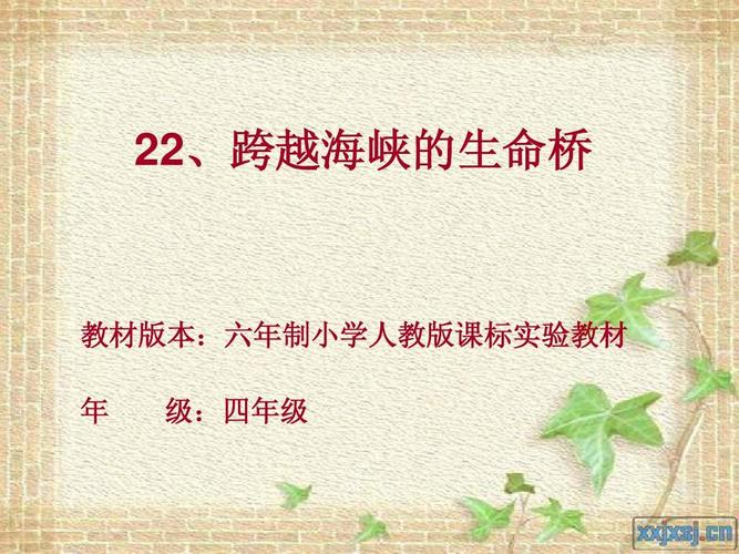 跨越海峡的生命桥中的生命桥指的是?跨越海峡的生命桥主要讲了一件什么事