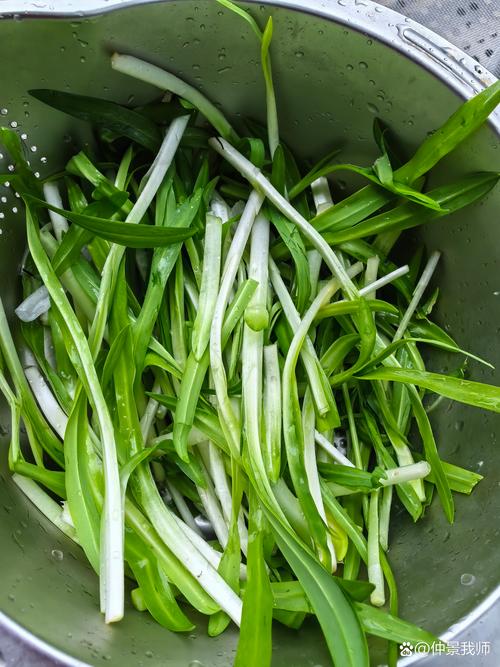 韭菜如何不炒老熟？韭菜怎么炒不发黄