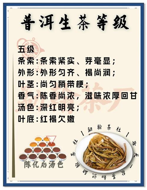 普洱茶的分类标准？普洱茶的分级