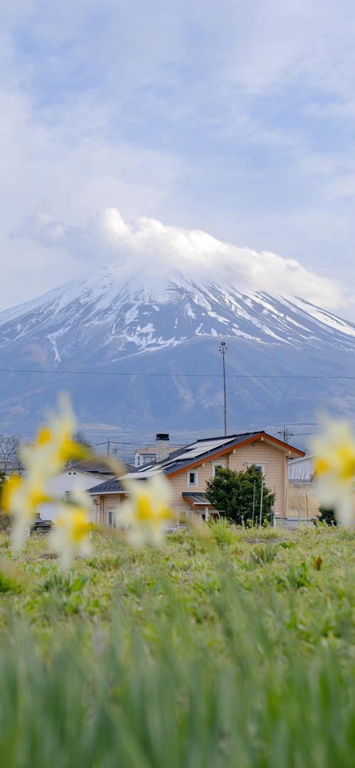 阳光小清新意境美图?阳光小清新意境美图大全