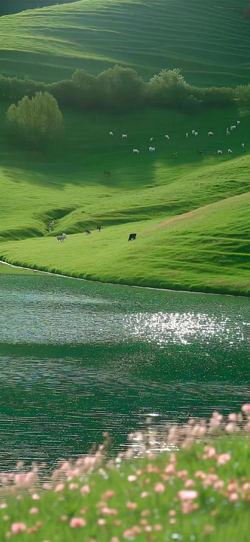 阳光小清新意境美图?阳光小清新意境美图大全