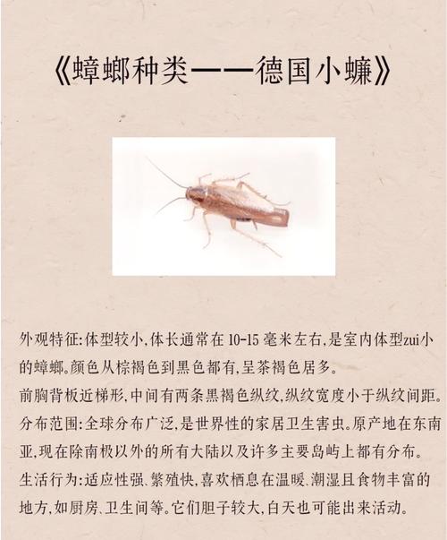 蟑螂存在的早还是恐龙存在的早？蟑螂是不是恐龙年代的生物