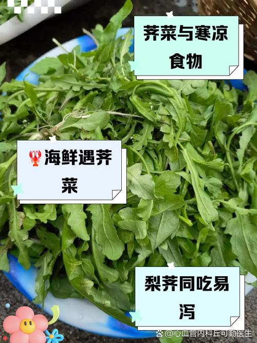 荠菜能与木耳一起吃吗宝宝？木耳和荠菜