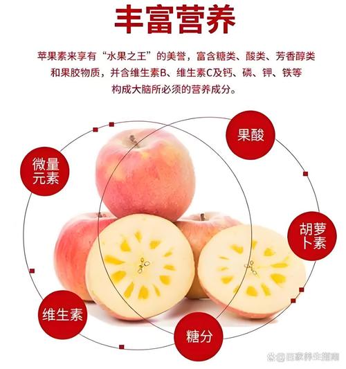 苹果和橘子哪个营养价值高?苹果和橘子谁的营养价值高