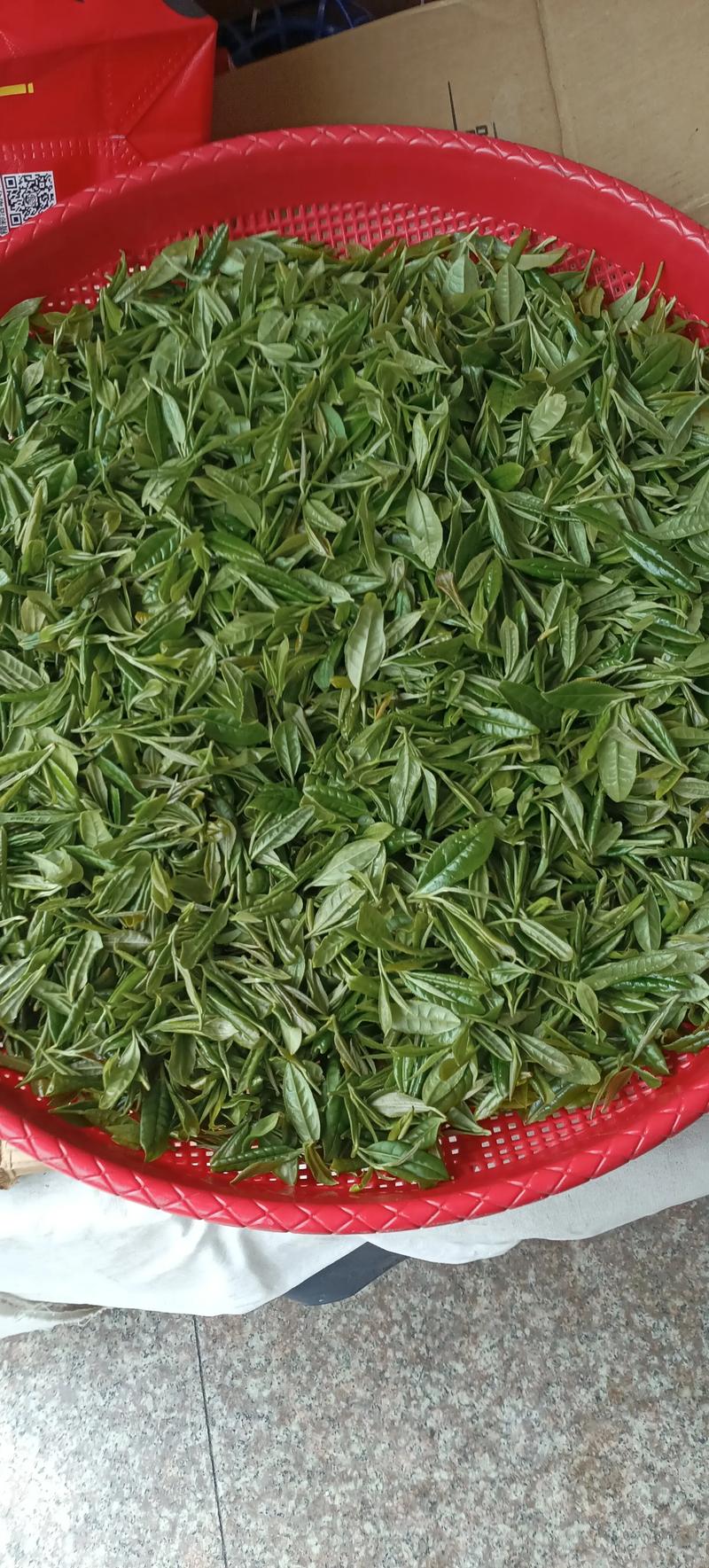 谷雨茶又被称为什么茶？谷雨茶属于什么茶类