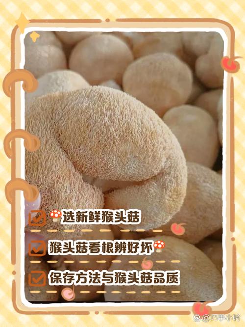 猴头菇变褐色还能吃吗？猴头菇变黄褐色了怎么办