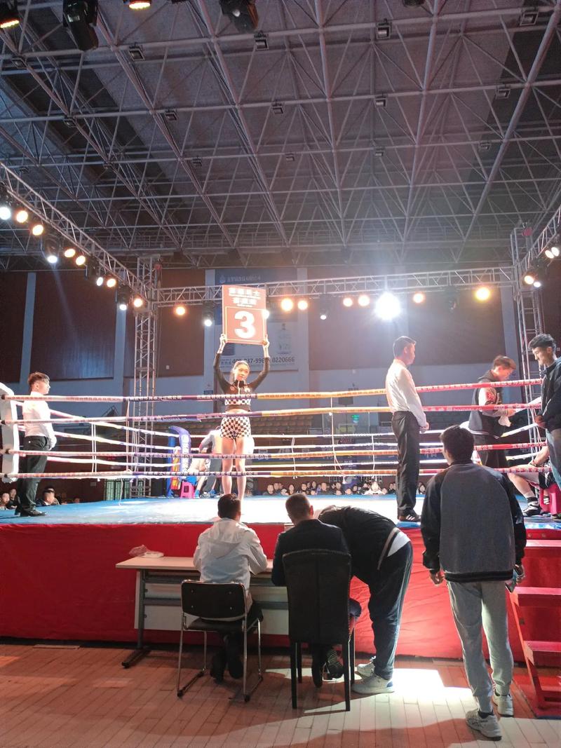 请问拳击赛事都有哪些？拳击联赛有哪些