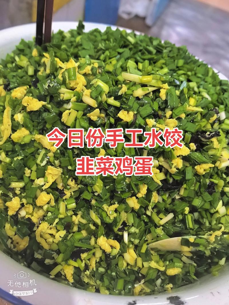 韭菜鸡蛋饺子馅放大葱吗？韭菜鸡蛋饺子馅放大葱吗好吃吗