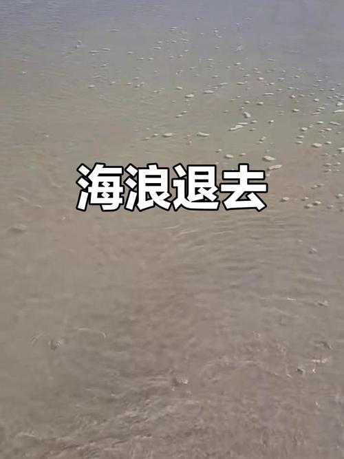 为啥会有涨潮退潮?退潮时海水都去哪里了