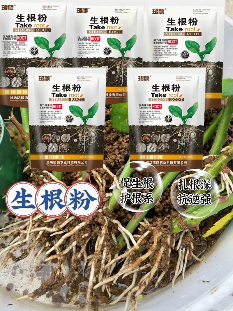 快速生根粉可以当肥料用吗？快速生根粉能当肥料用吗