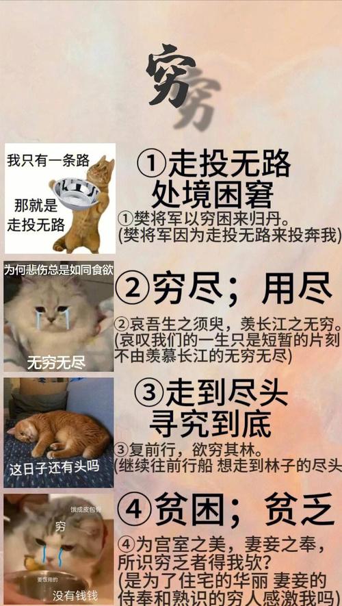 穷字在文言文中的意思及例句？穷文言文的意思是什么