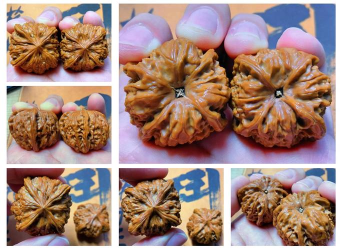 乾隆玩的核桃是啥品种？乾隆把玩的核桃