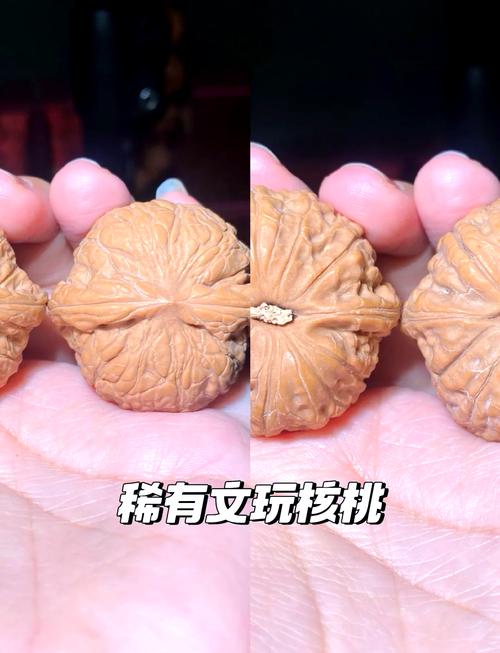 乾隆玩的核桃是啥品种？乾隆把玩的核桃