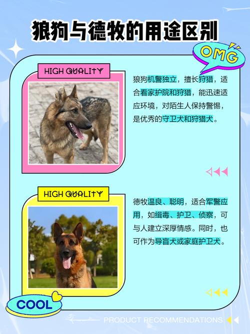 狼狗是狼和狗的杂交品种吗？狼犬是狼和犬杂交的品种吗