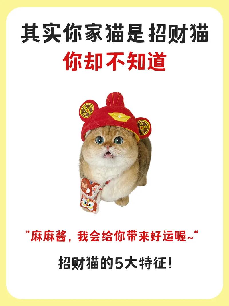 开饭店养猫吉祥吗？开饭店养猫吉祥吗好吗
