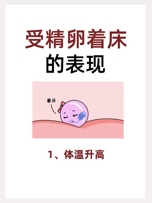 为什么有的受精卵会分裂？受精卵为什么会分成两个