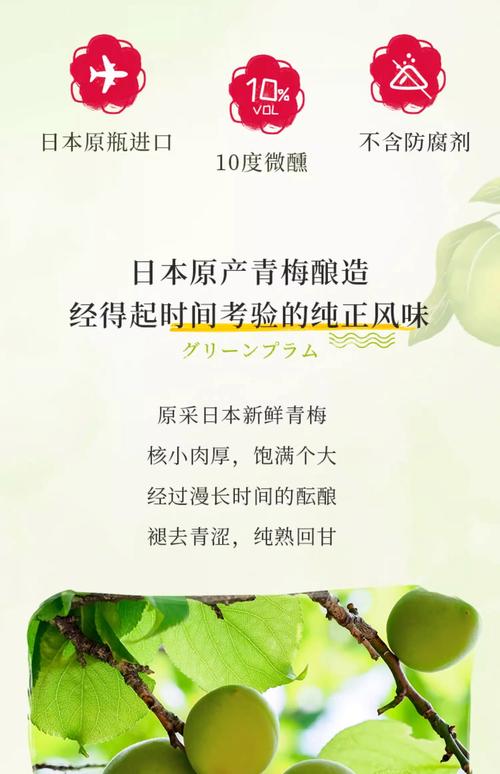 青梅酒搭配什么饮料喝？青梅酒和什么搭配