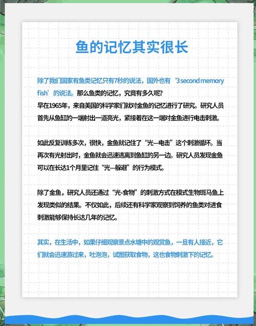 鱼的记忆力为什么那么短？为什么鱼的记忆只有7秒