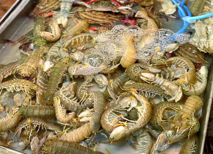 请问蓬莱哪有卖海鲜的？蓬莱有海鲜市场吗?