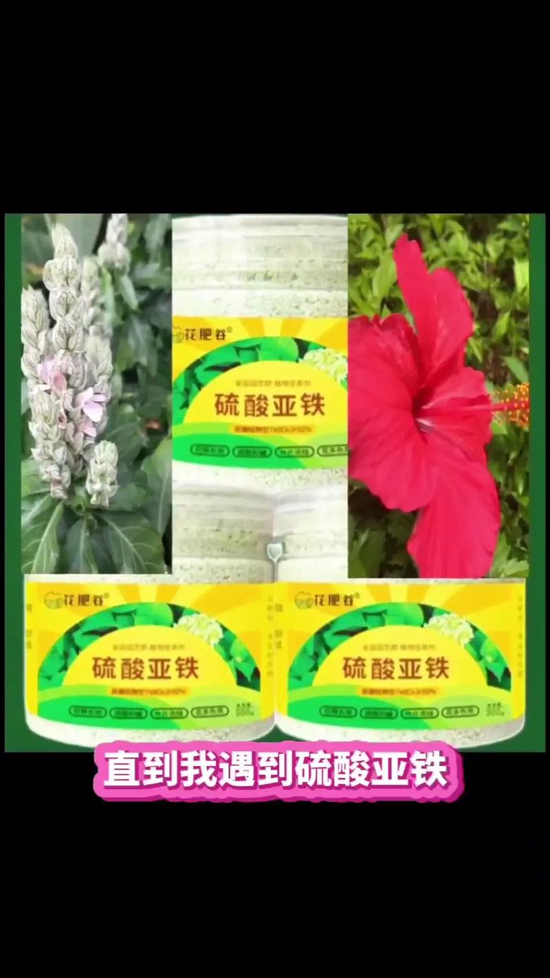 兰花能不能用硫酸亚铁施肥啊？兰花能不能浇硫酸亚铁
