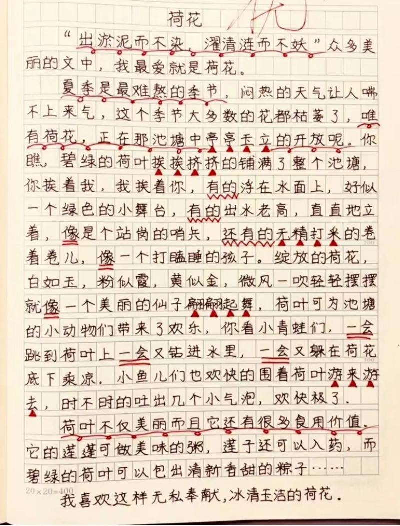 把荷花比作人写一句话？把荷花比作什么比较好
