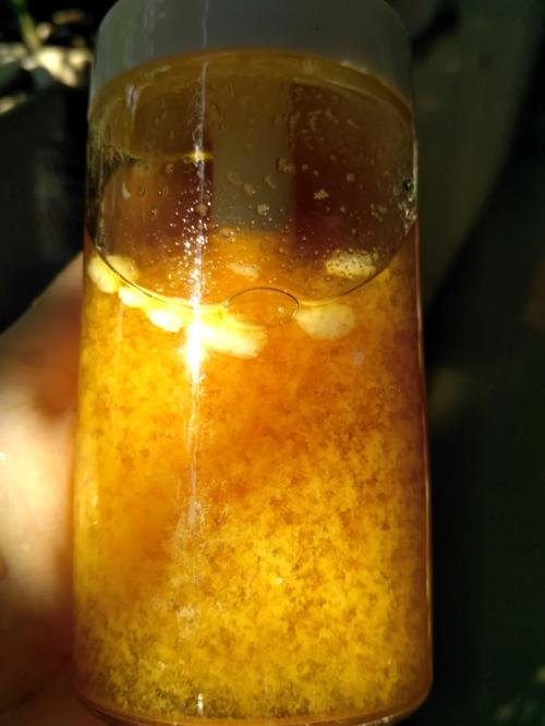 水静置后有絮状漂浮物？水中有絮状沉淀物