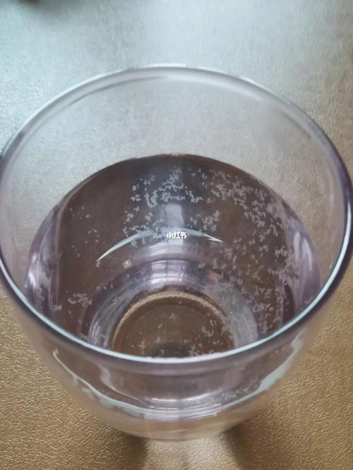 水静置后有絮状漂浮物？水中有絮状沉淀物