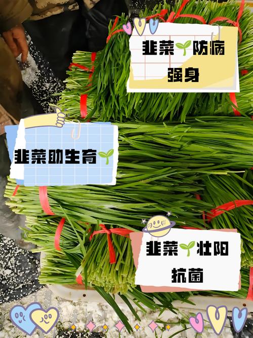 常吃韭菜能壮阳吗？常吃韭菜可以壮阳吗