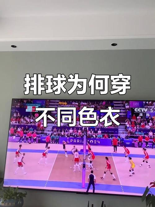 排球队员衣服不一样?？排球队员衣服颜色不一样