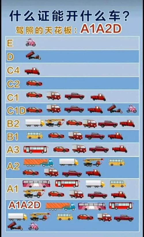 开公交车需要啥驾驶证？开公交车需要什么资格证吗