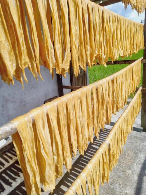 腐竹能不能直接煮熟？腐竹可以直接煮嘛