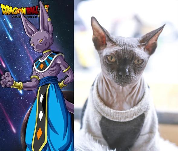 七龙珠里那个猫叫什么？七龙珠里的猫叫啥