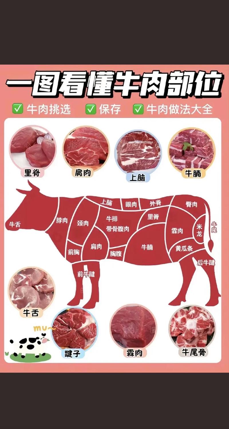 牛肉沙拉的牛肉是怎么处理的？牛肉沙拉用牛哪个部位