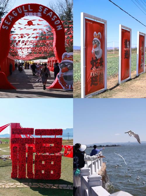 昆明今年过年可以去哪里玩？昆明今年春节去哪里好玩