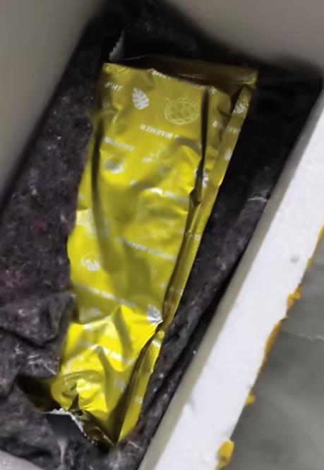 买50条观赏鱼收到1袋水 商家:烫熟分解了(图2)