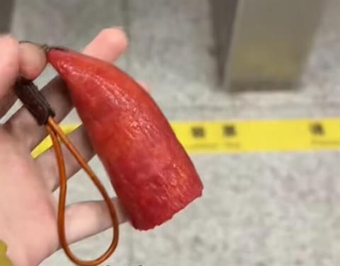 哈尔滨推出“红肠公交卡” 造型逼真(图2)