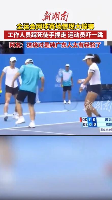 全运会赛场惊现巨型蟑螂 场馆卫生管理引热议