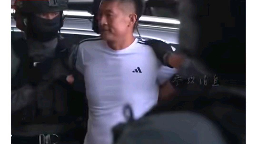 佘智江下飞机两腿发软?网友:三年挣扎画句号多行不义必自毙