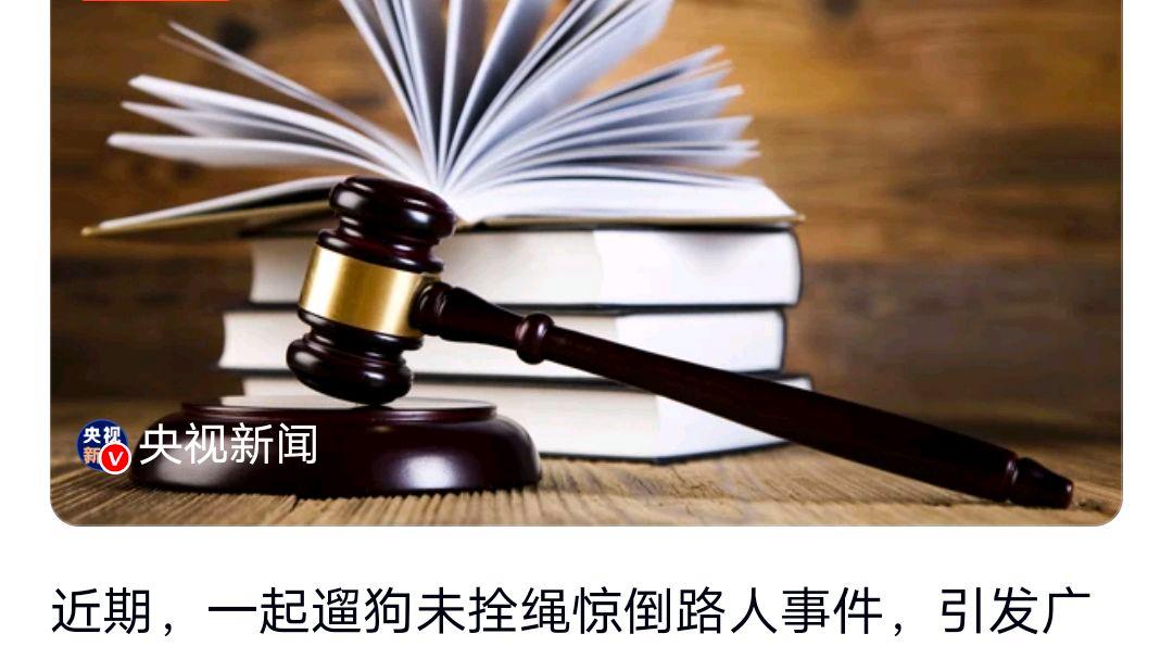 遛狗未拴绳惊倒路人饲养人赔28万?网友:具体情况警示