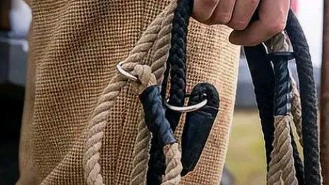 遛狗未拴绳惊倒路人饲养人赔28万?网友:具体情况警示