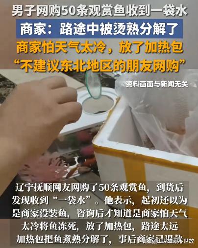 网购50条观赏鱼?竟收到一袋“鱼汤”!活体运输隐患几何