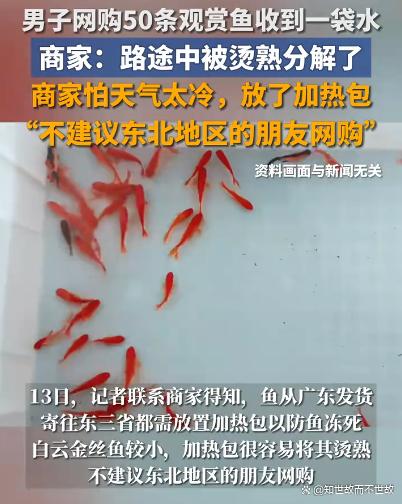 网购50条观赏鱼?竟收到一袋“鱼汤”!活体运输隐患几何