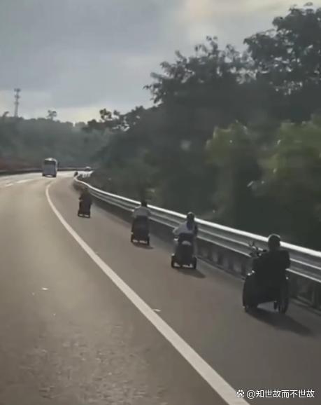 导航误导？五名老人电动三轮车高速惊魂！