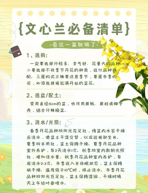 兰花怎么种植与养护?兰花怎么种植与养护图片