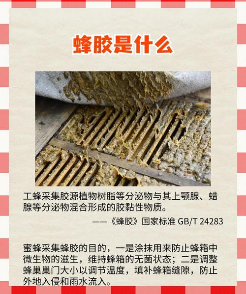 蜂胶性温还是性寒?蜂胶是寒性的吗