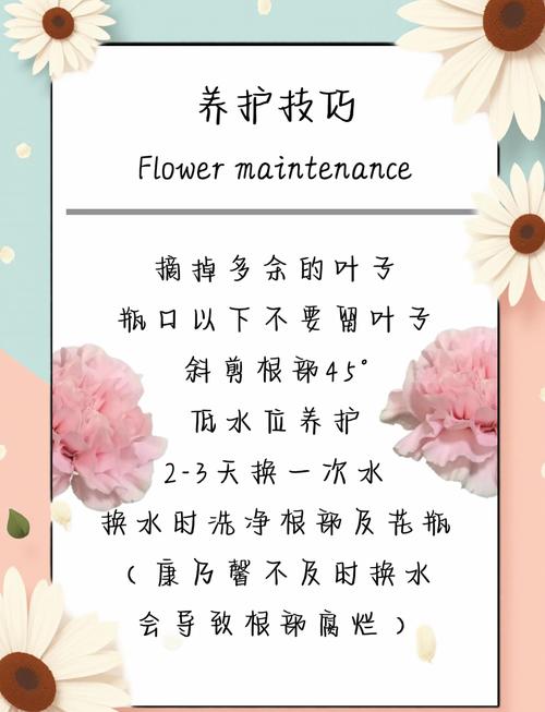 康莱馨表示什么意思?康来馨花后怎样修剪