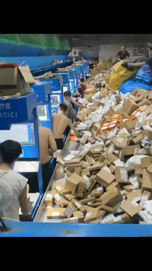 分拣快递为什么都是夜班？快递分拣员为什么晚上工作