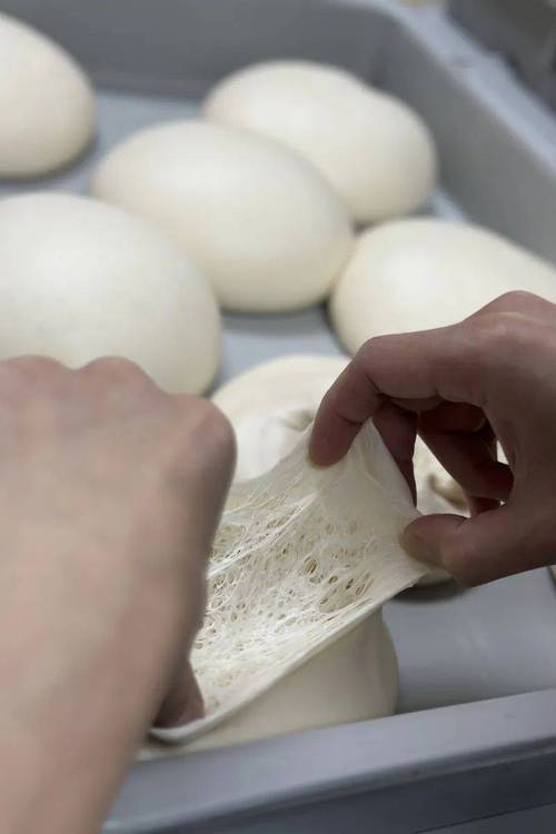 披萨冷发酵需要多长时间？冷发披萨用什么酵母