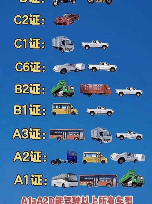 考车本都有哪些项目?考车证有什么要求